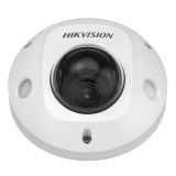 Domo IP Movil 2 Megapixel / Lente 2 mm / Micrófono Integrado / Funciones inteligentes: Detección de congestión de personas / WDR 120 dB / IP67 / IK10 / 30 Metros / Metal / Conector RJ45