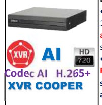 Dahua XVR1B08-I/T - DVR 8CH PENTAHIBRIDO | H.265+ | 720P | WIZSENSE | 1 HDD | 8+2CH IP | ONVIF 16.12