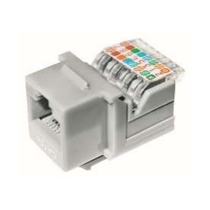 Dixon KJ7-CE-US/WHN - Jack RJ-45 CAT. 5e - De Presión
