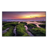 Pantalla Profesional LED de 65" para marketing digital / UHD 4K (3840x2160p) / Entradas de Video HDMI / uso 16/7 / Compatible VESA 400x300 / compatible con plataforma de gestion Samsung VXT